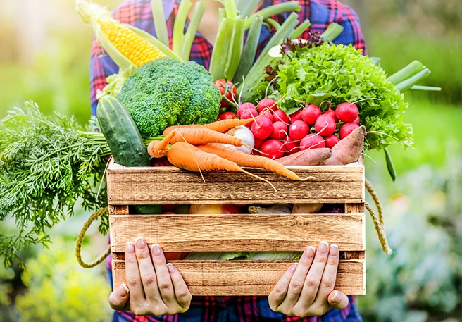 Vitaminmangel vorbeugen durch Ernährung Vitaminmangel vorbeugen durch Ernährung