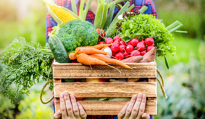Richtige Ernährung bei Vitaminmangel